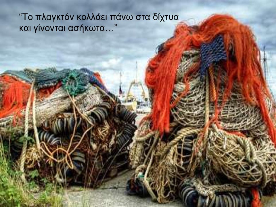 στα δίχτυα