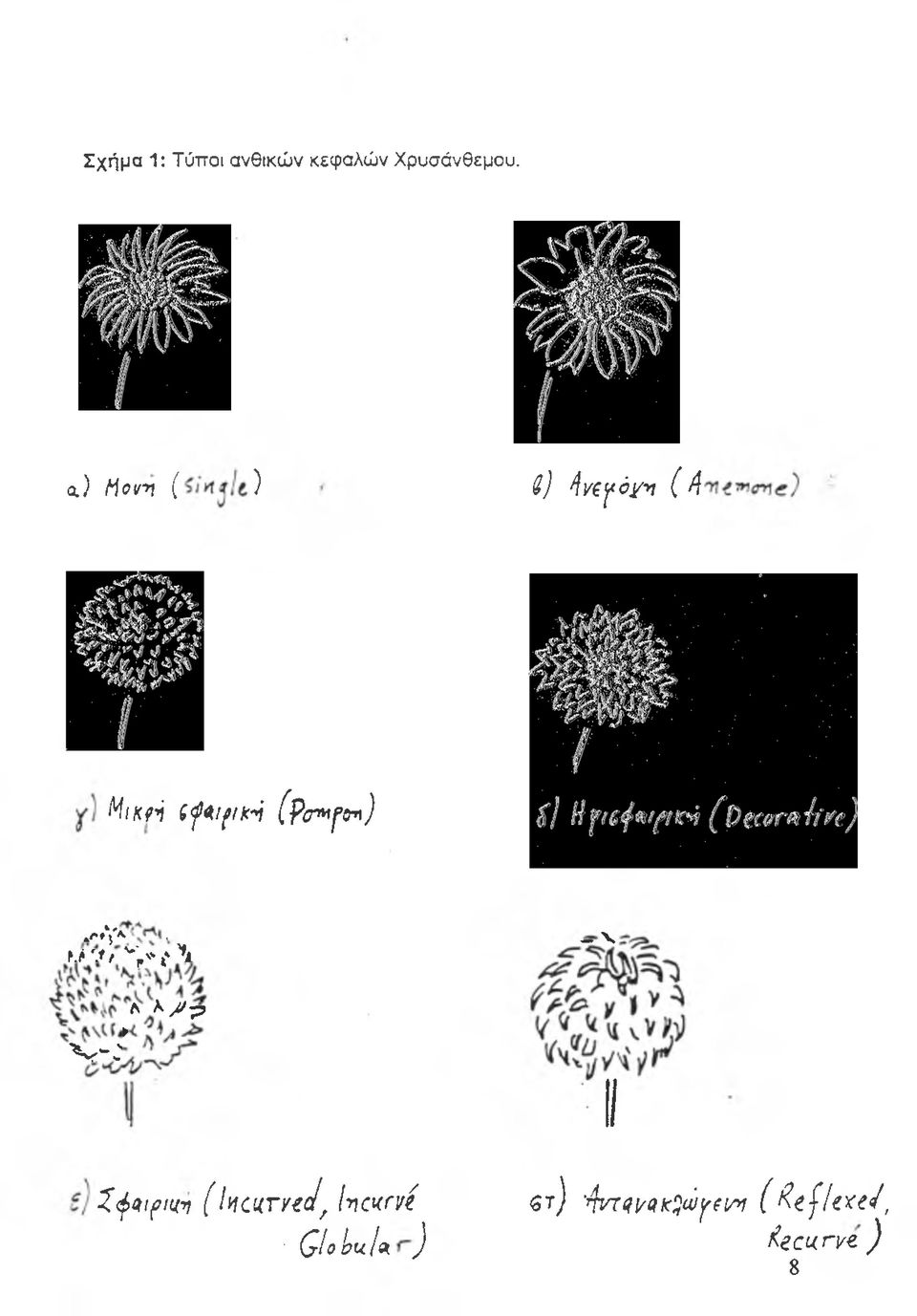 4λ»^'α, r r.