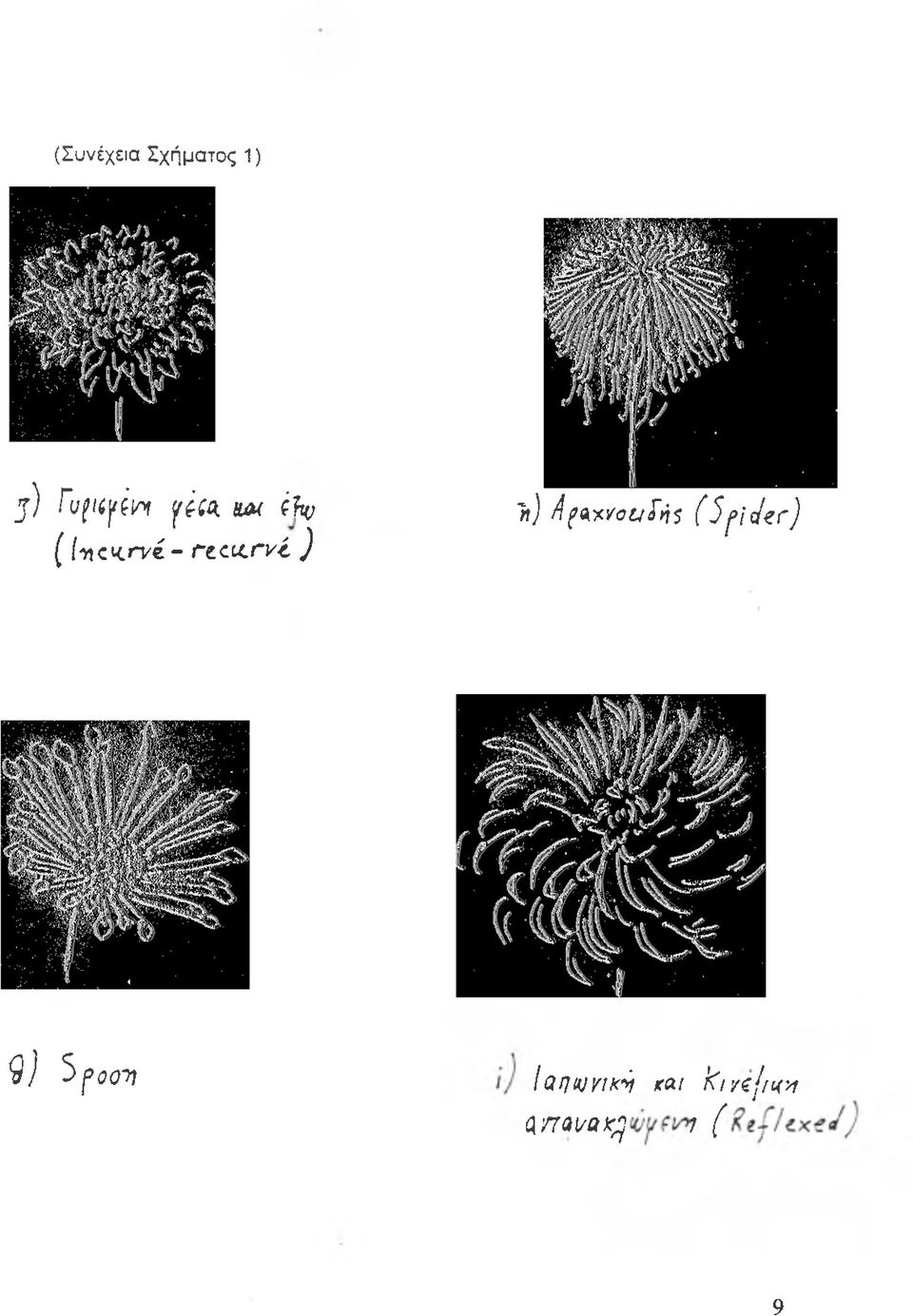 rvi ) Τι) 4 { Μ 0 ί/ ίή ϊ ( 5 ^ ( Ι ζ