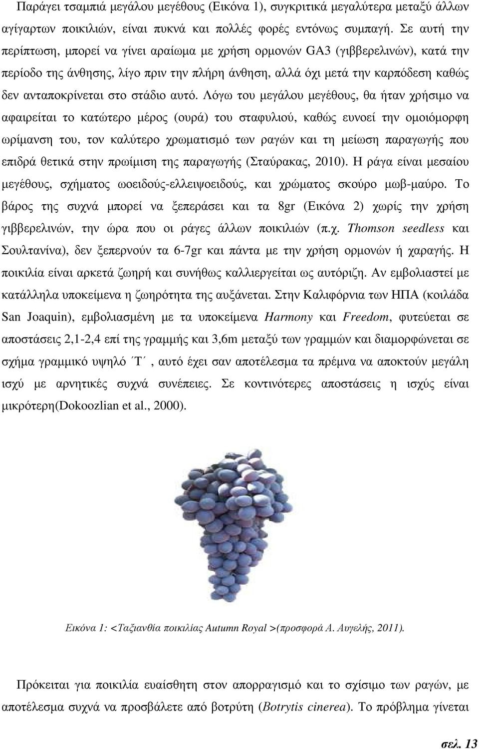 στάδιο αυτό.