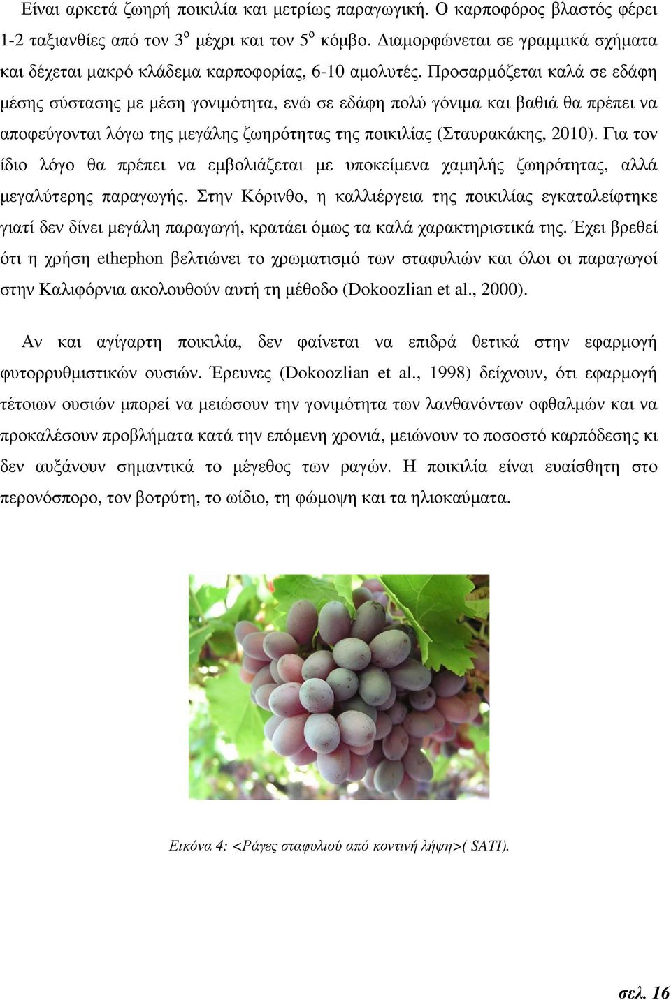 Προσαρµόζεται καλά σε εδάφη µέσης σύστασης µε µέση γονιµότητα, ενώ σε εδάφη πολύ γόνιµα και βαθιά θα πρέπει να αποφεύγονται λόγω της µεγάλης ζωηρότητας της ποικιλίας (Σταυρακάκης, 2010).