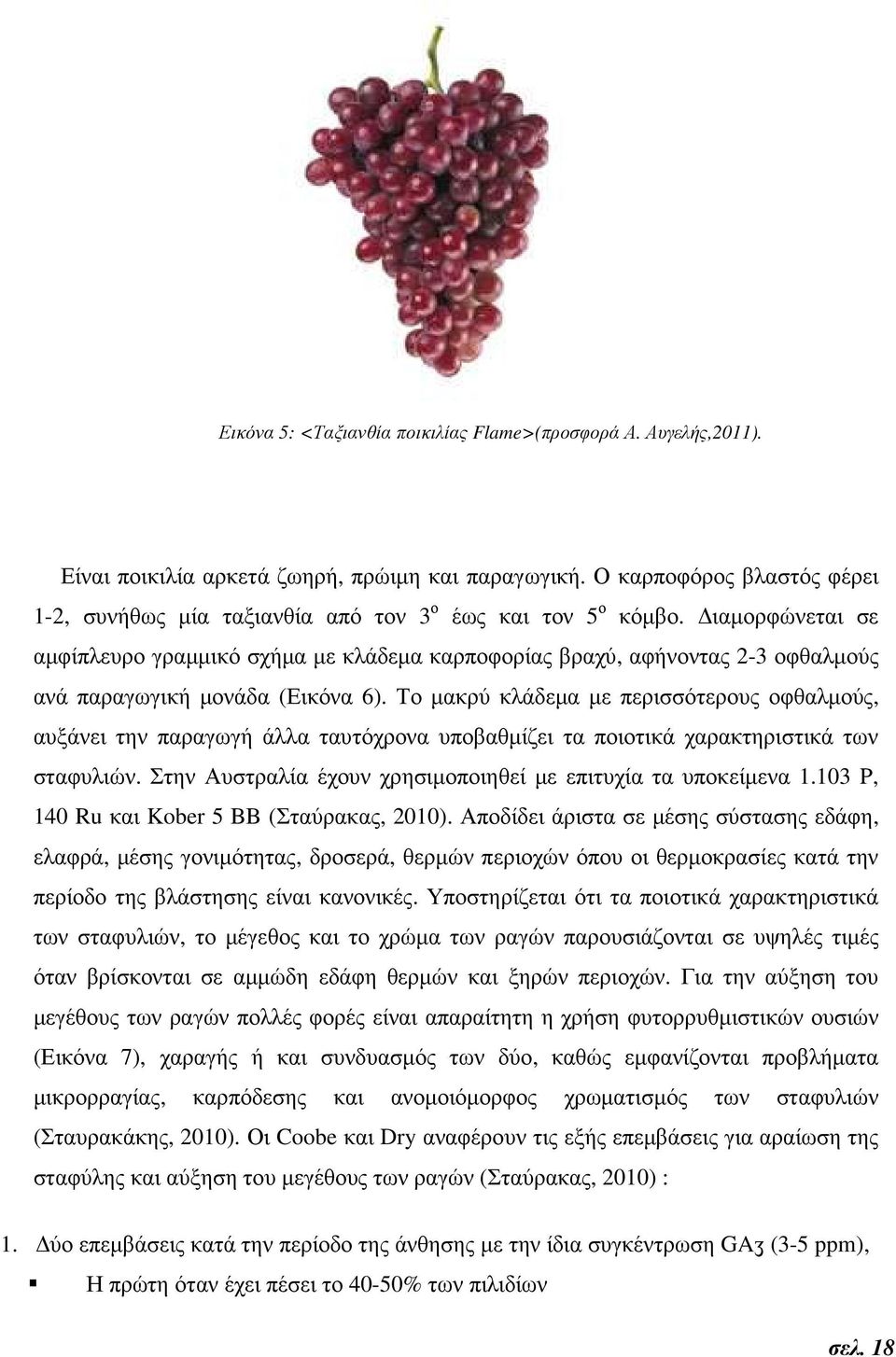 ιαµορφώνεται σε αµφίπλευρο γραµµικό σχήµα µε κλάδεµα καρποφορίας βραχύ, αφήνοντας 2-3 οφθαλµούς ανά παραγωγική µονάδα (Εικόνα 6).