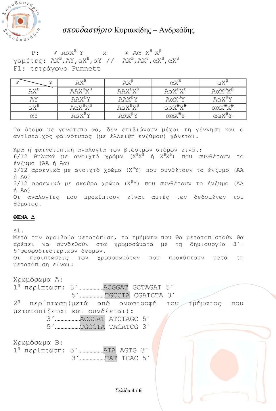 Άρα η φαινοτυπική αναλογία των βιώσιμων ατόμων είναι: 6/12 θηλυκά με ανοιχτό χρώμα (Χ Β Χ Β ή Χ Β Χ β ) που συνθέτουν το ένζυμο (ΑΑ ή Αα) 3/12 αρσενικά με ανοιχτό χρώμα (Χ Β Υ) που συνθέτουν το