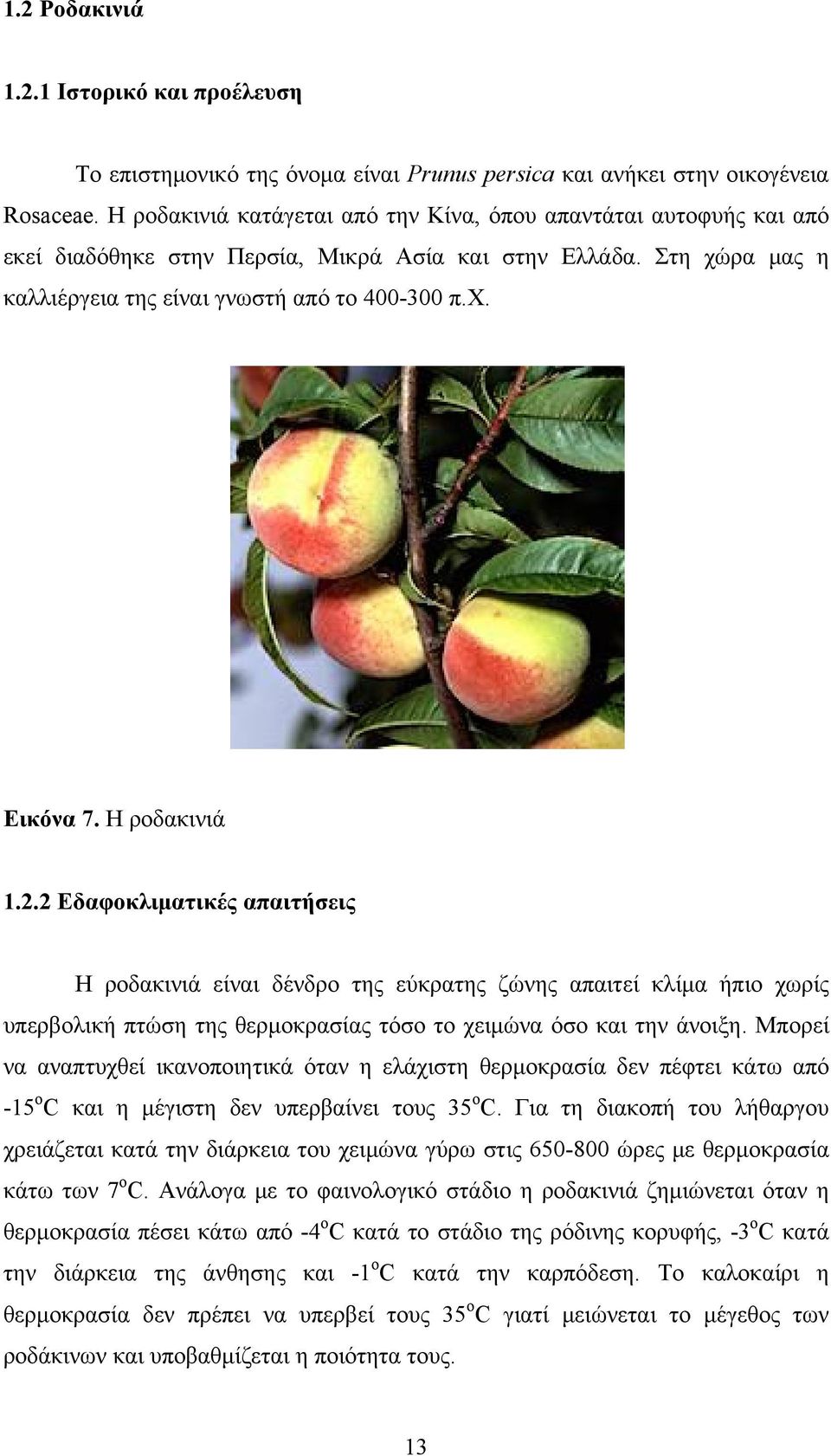 Η ροδακινιά 1.2.2 Εδαφοκλιματικές απαιτήσεις Η ροδακινιά είναι δένδρο της εύκρατης ζώνης απαιτεί κλίμα ήπιο χωρίς υπερβολική πτώση της θερμοκρασίας τόσο το χειμώνα όσο και την άνοιξη.