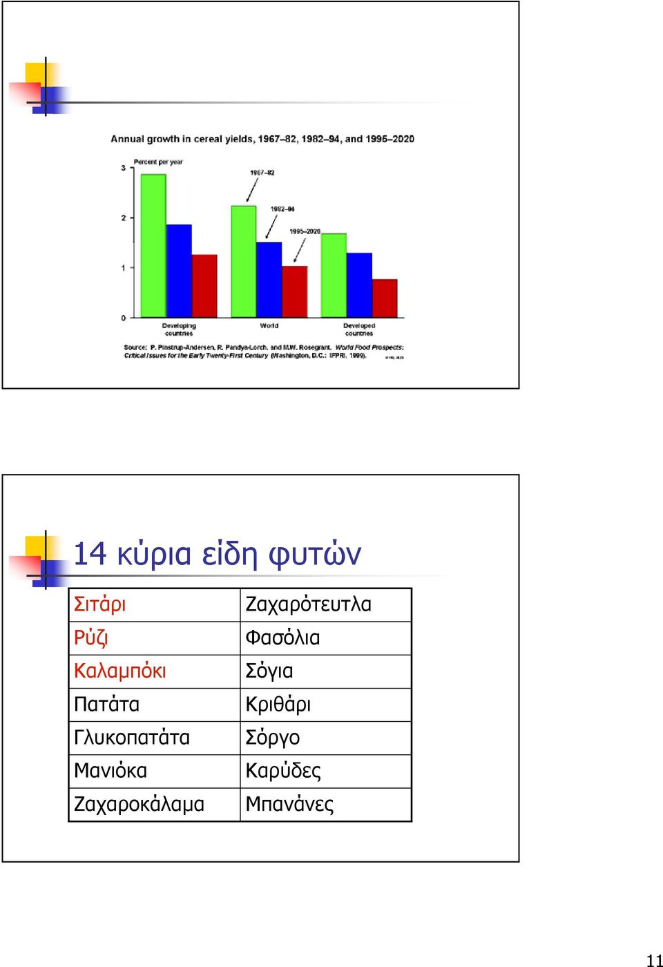 Μανιόκα Ζαχαροκάλαµα Ζαχαρότευτλα