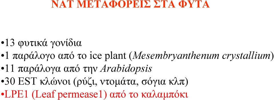 παράλογα από την Arabidopsis 30 EST κλώνοι (ρύζι,
