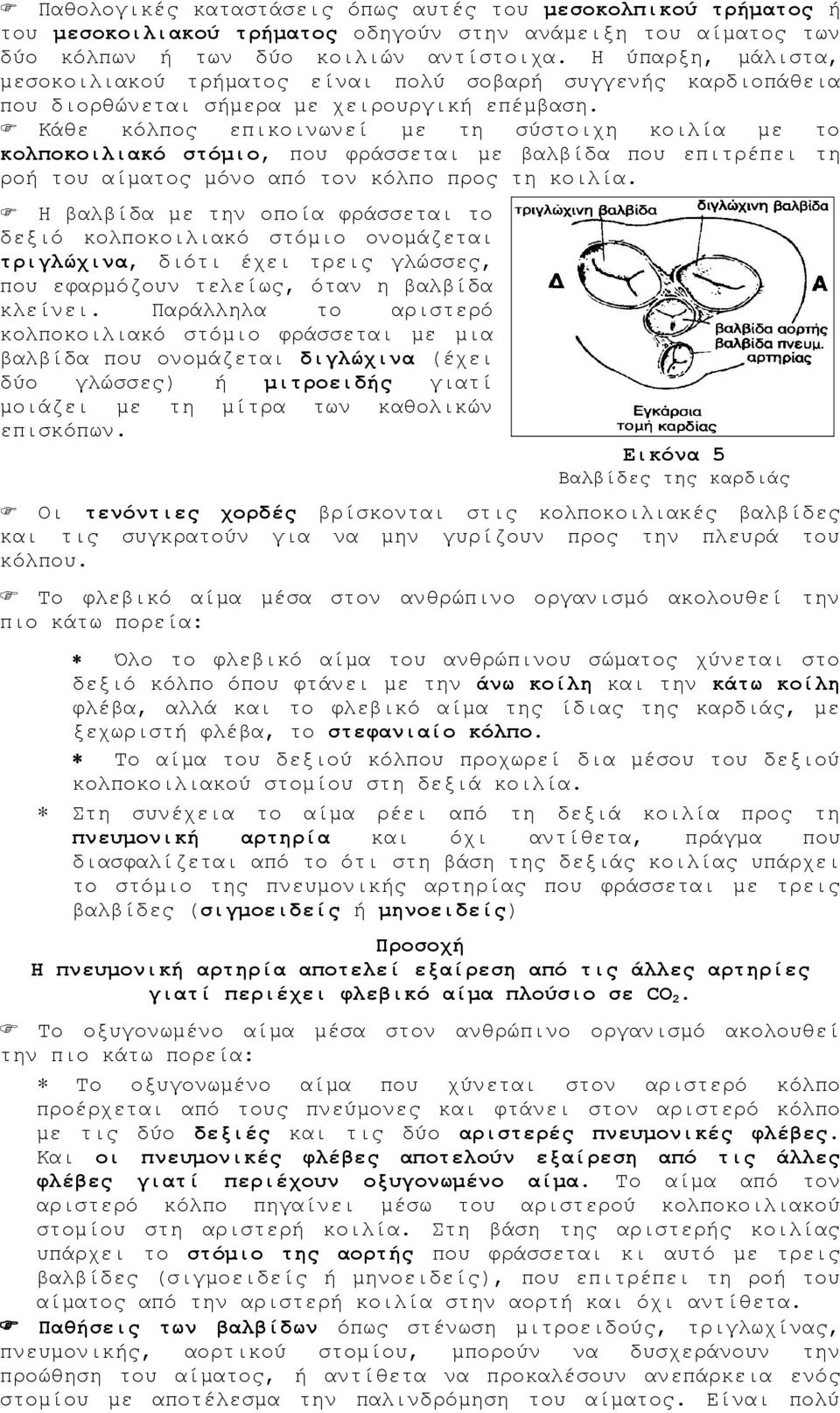 Κάθε κόλπος επικοινωνεί με τη σύστοιχη κοιλία με το κολποκοιλιακό στόμιο, που φράσσεται με βαλβίδα που επιτρέπει τη ροή του αίματος μόνο από τον κόλπο προς τη κοιλία.