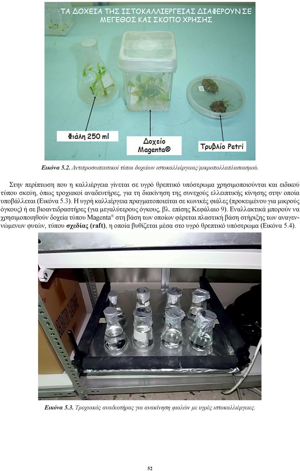 οποία υποβάλλεται (Εικόνα 5.3). Η υγρή καλλιέργεια πραγματοποιείται σε κωνικές φιάλες (προκειμένου για μικρούς όγκους) ή σε βιοαντιδραστήρες (για μεγαλύτερους όγκους, βλ. επίσης Κεφάλαιο 9).
