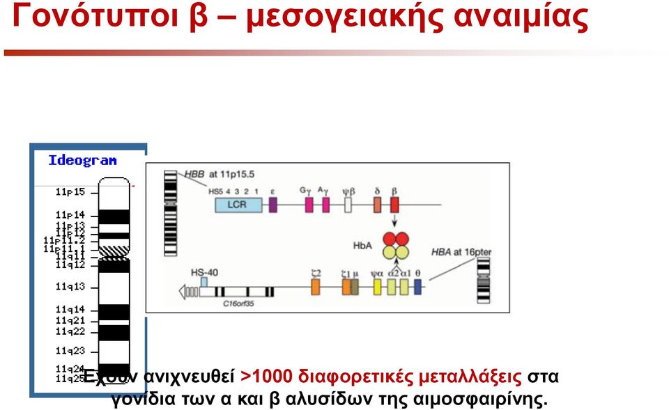 διαφορετικές μεταλλάξεις στα