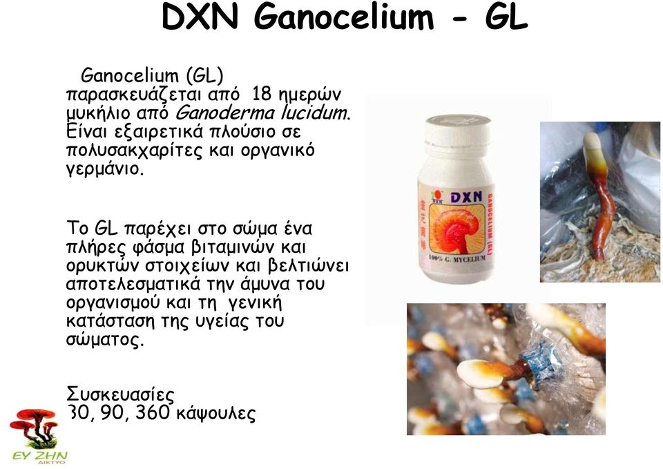 Το GL παρέχει στο σώμα ένα πλήρες φάσμα βιταμινών και ορυκτών στοιχείων και βελτιώνει