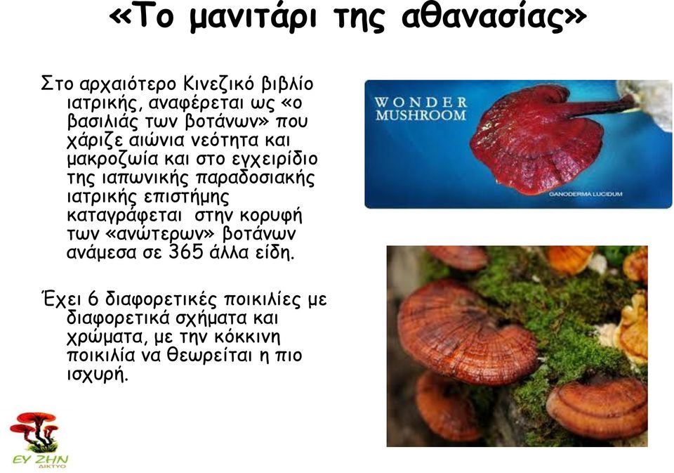 ιατρικής επιστήμης καταγράφεται στην κορυφή των «ανώτερων» βοτάνων ανάμεσα σε 365 άλλα είδη.