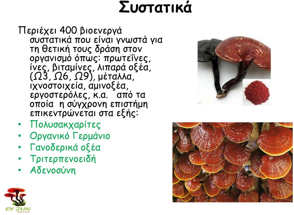 ιχνοστοιχεία,