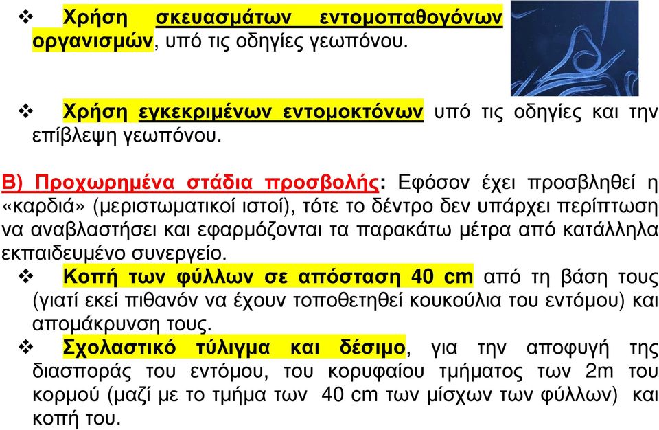 παρακάτω µέτρα από κατάλληλα εκπαιδευµένο συνεργείο.