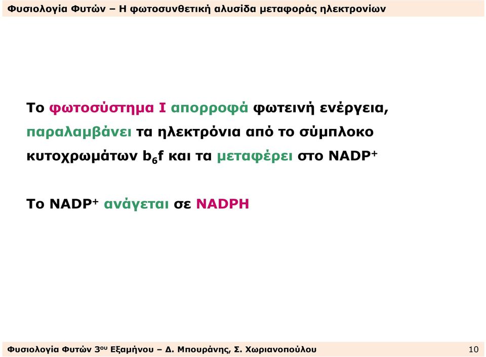 κυτοχρωµάτωνb 6 fκαιταµεταφέρειστοnadp + To NADP +