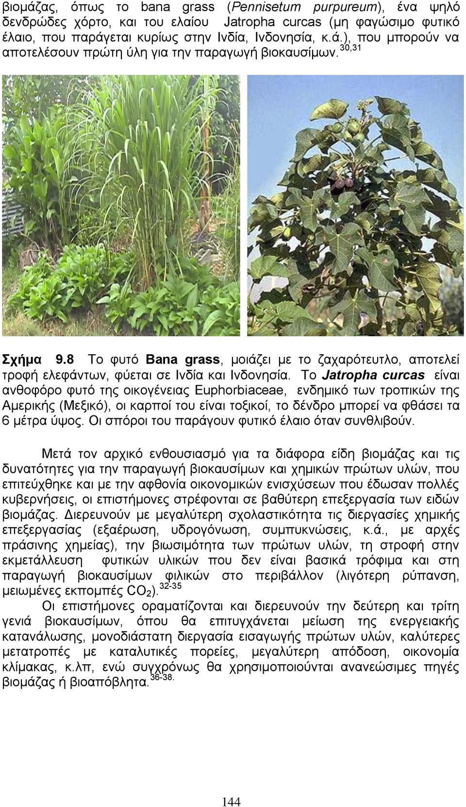 Τν Jatropha curcas είλαη αλζνθφξν θπηφ ηεο νηθνγέλεηαο Euphorbiaceae, ελδεκηθφ ησλ ηξνπηθψλ ηεο Ακεξηθήο (Μεμηθφ), νη θαξπνί ηνπ είλαη ηνμηθνί, ην δέλδξν κπνξεί λα θζάζεη ηα 6 κέηξα χςνο.
