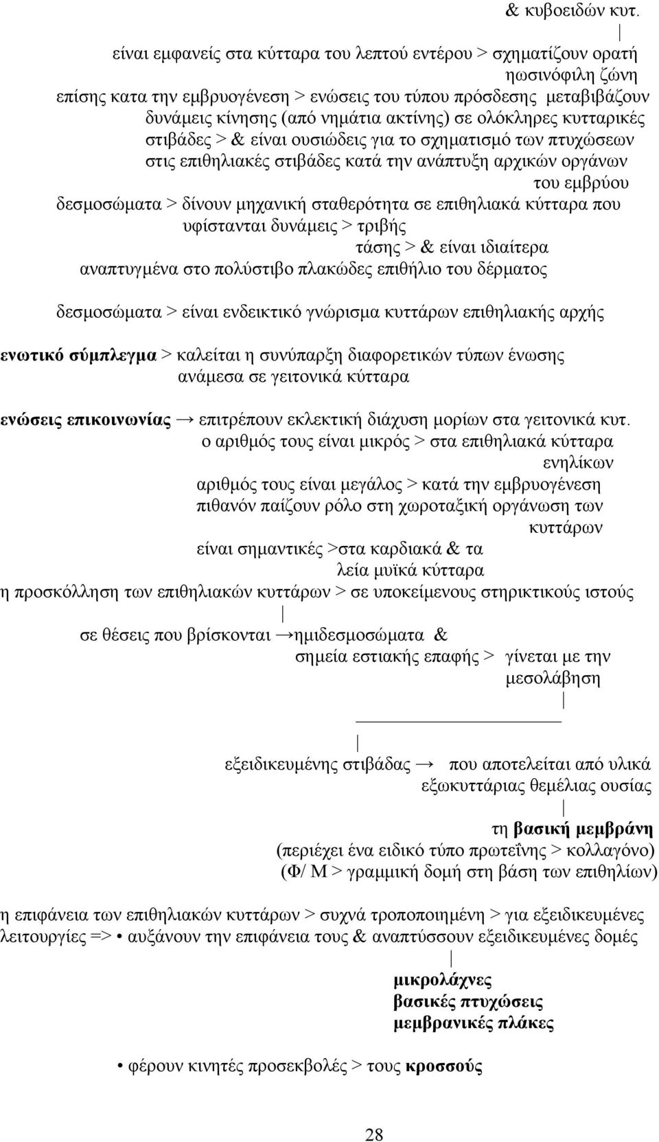 ολόκληρες κυτταρικές στιβάδες > & είναι ουσιώδεις για το σχηµατισµό των πτυχώσεων στις επιθηλιακές στιβάδες κατά την ανάπτυξη αρχικών οργάνων του εµβρύου δεσµοσώµατα > δίνουν µηχανική σταθερότητα σε