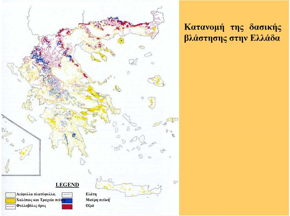 πλατύφυλλα.