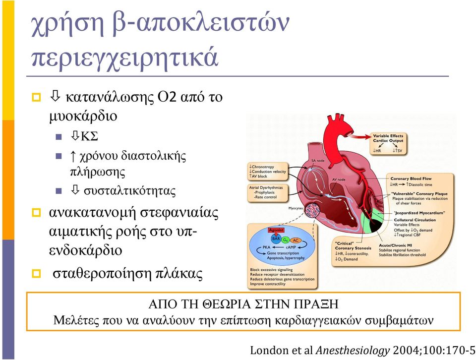 υπενδοκάρδιο σταθεροποίησηπλάκας ΑΠΟΤΗΘΕΩΡΙΑΣΤΗΝΠΡΑΞΗ Μελέτες που να αναλύουν