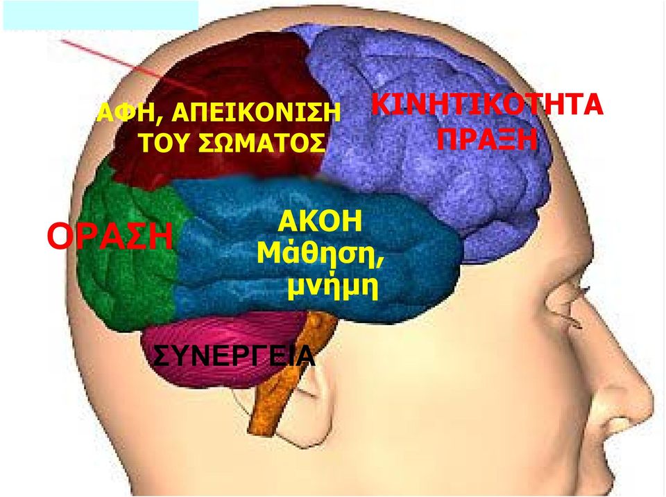 ΠΡΑΞΗ ΟΡΑΣΗ ΑΚΟΗ