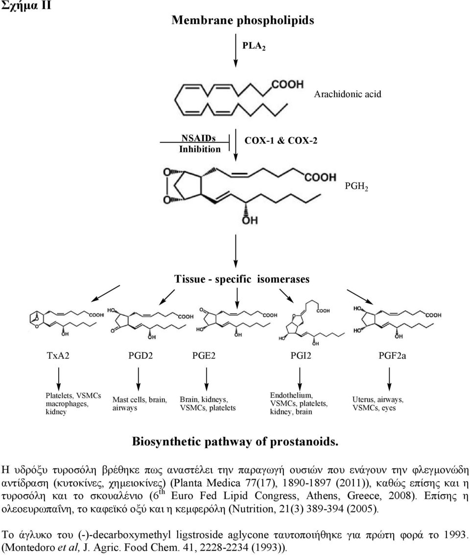 Η υδρόξυ τυροσόλη βρέθηκε πως αναστέλει την παραγωγή ουσιών που ενάγουν την φλεγμονώδη αντίδραση (κυτοκίνες, χημειοκίνες) (Planta Medica 77(17), 1890-1897 (2011)), καθώς επίσης και η τυροσόλη και το