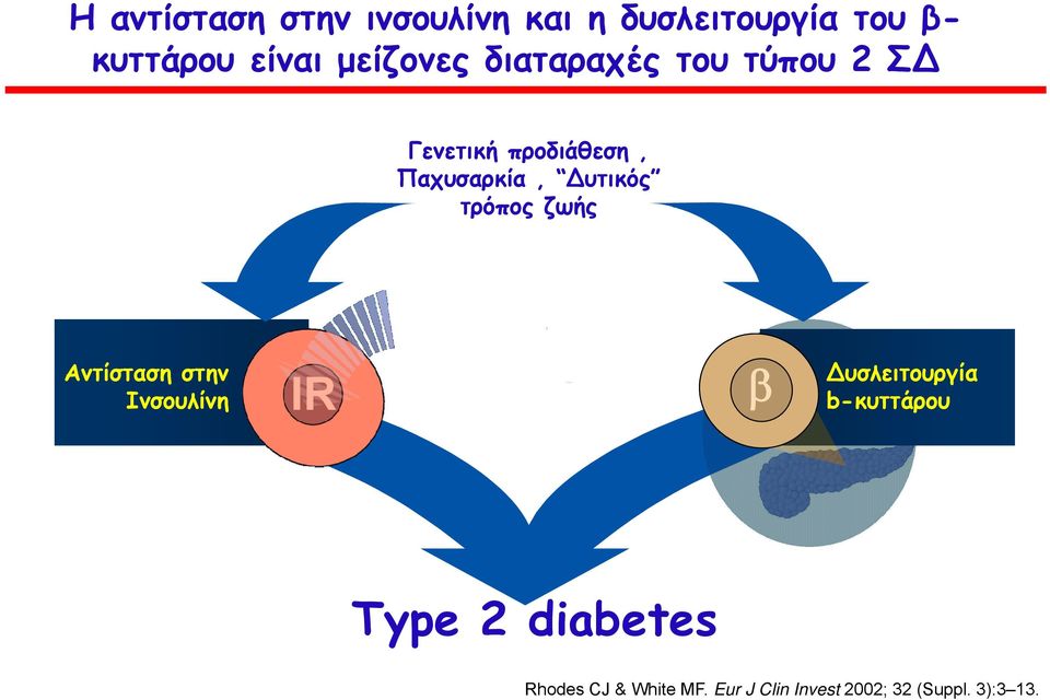 υτικός τρόπος ζωής Αντίσταση στην Ινσουλίνη IR β υσλειτουργία b-κυττάρου