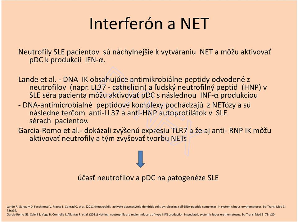 LL37 - cathelicin) a ľudský neutrofilný peptid (HNP) v SLE séra pacienta môžu aktivovať pdc s následnou INF-α produkciou - DNA-antimicrobialné peptidové komplexy pochádzajú z NETózy a sú následne
