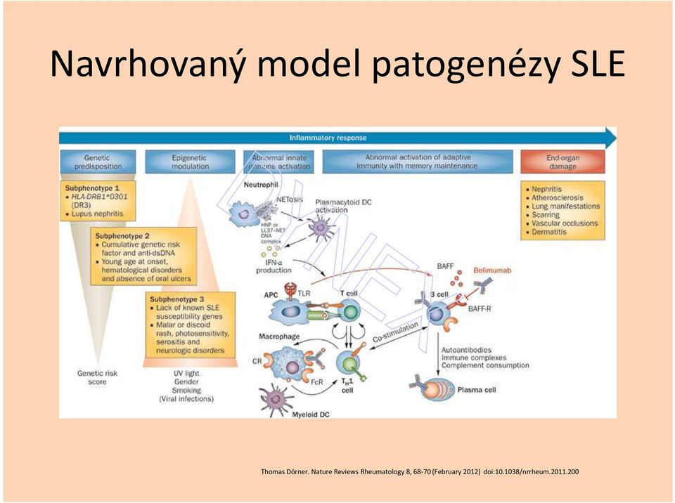 Nature Reviews Rheumatology 8,