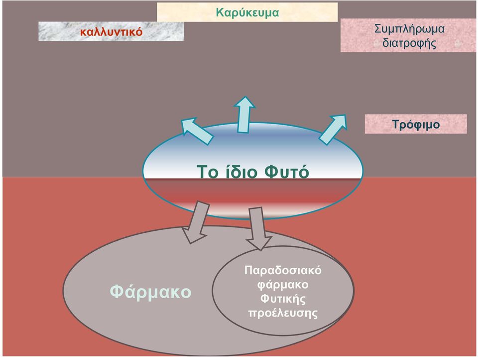 Τρόφιµο ΤοίδιοΦυτό Φάρµακο