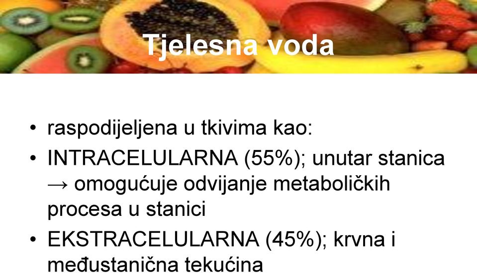 omogućuje odvijanje metaboličkih procesa u