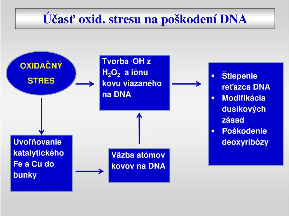 katalytického Fe a Cu do bunky Tvorba.