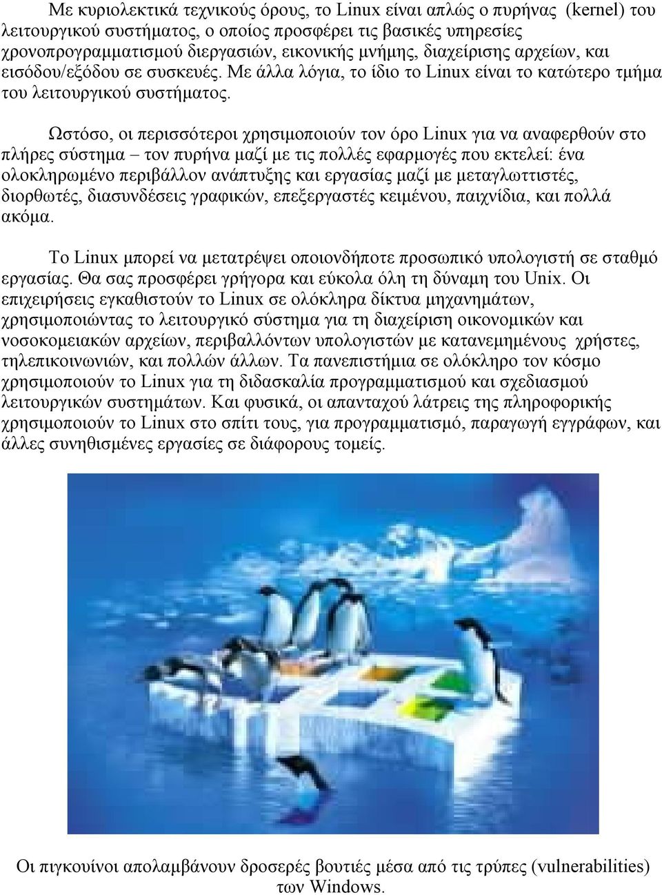 Ωστόσο, οι περισσότεροι χρησιμοποιούν τον όρο Linux για να αναφερθούν στο πλήρες σύστημα τον πυρήνα μαζί με τις πολλές εφαρμογές που εκτελεί: ένα ολοκληρωμένο περιβάλλον ανάπτυξης και εργασίας μαζί