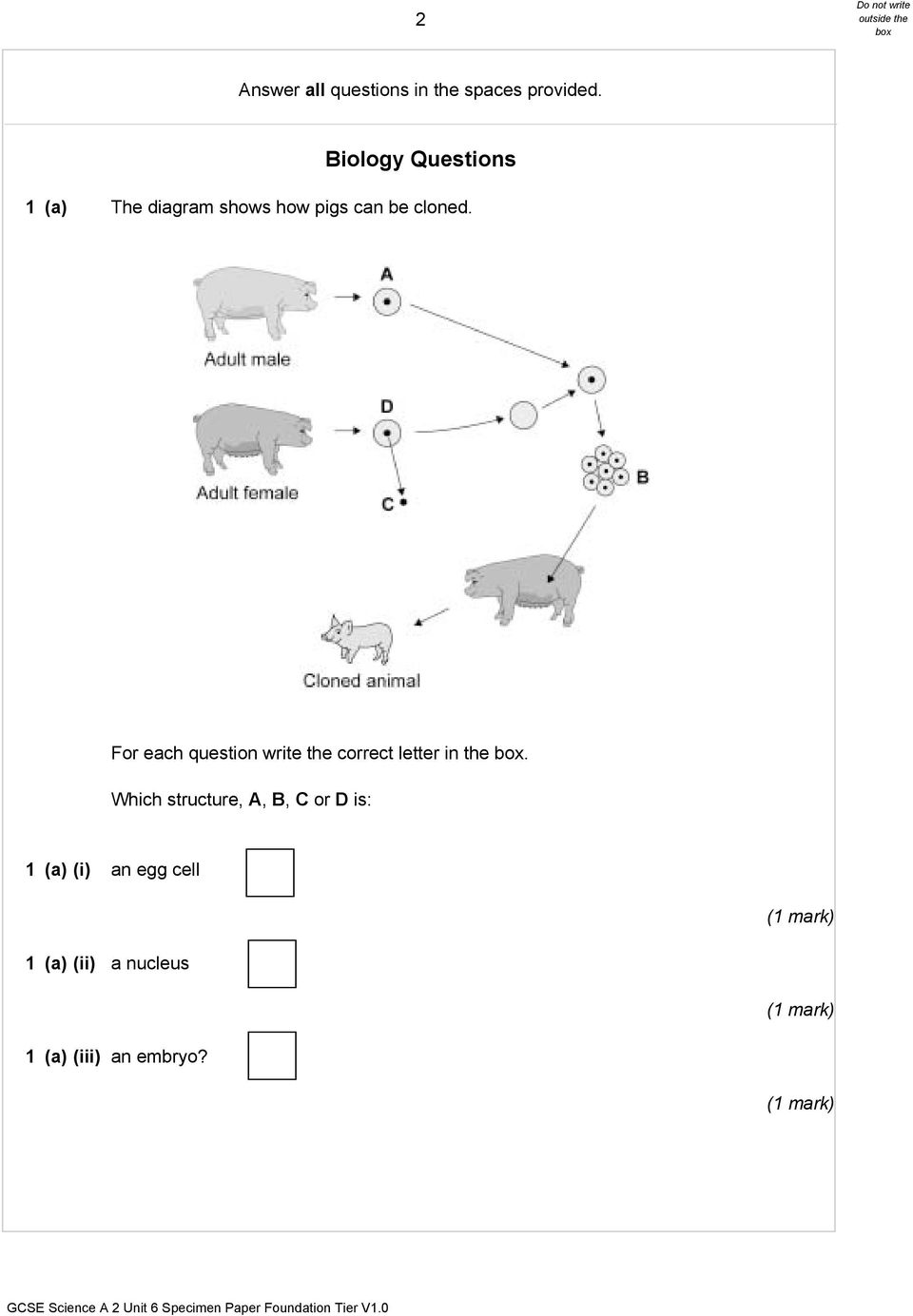 For each question write the correct letter in the.