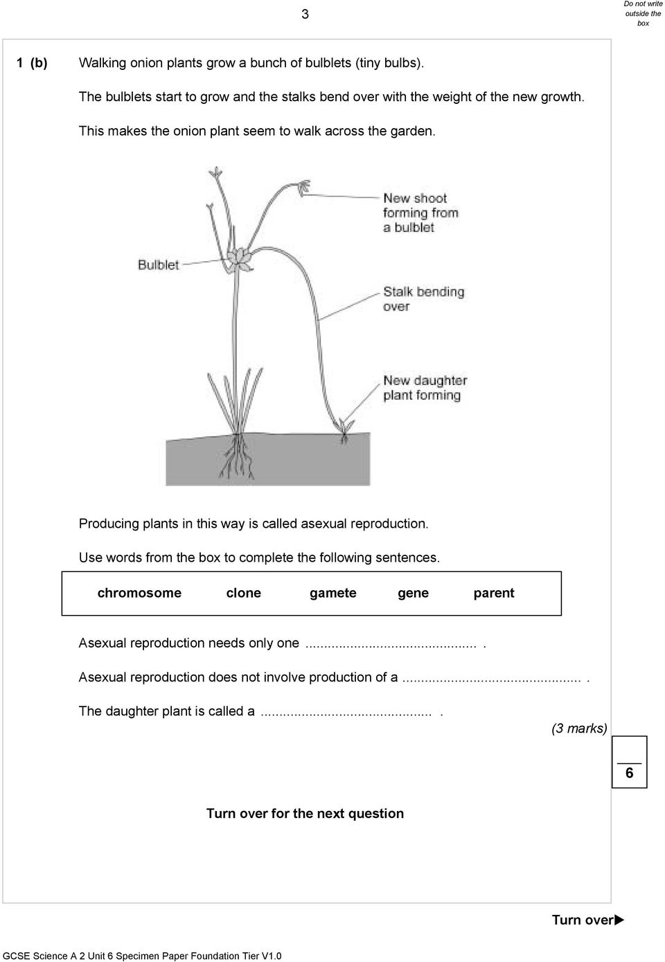 This makes the onion plant seem to walk across the garden. Producing plants in this way is called asexual reproduction.