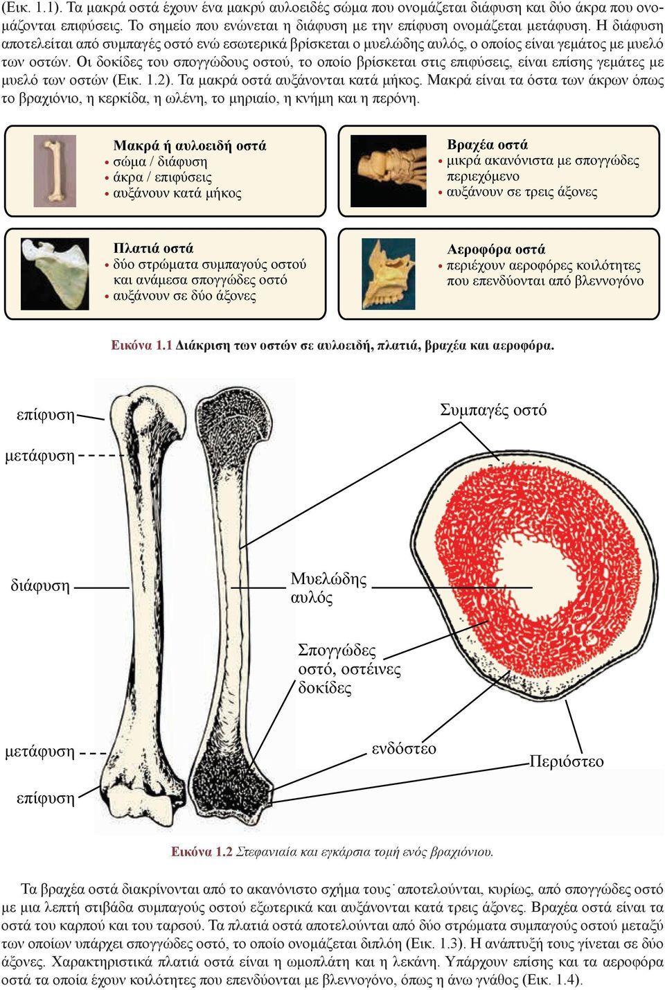 Ειδικά θέματα σκελετικής ανθρωπολογίας, ταφονομίας και βιοαρχαιολογίας -  PDF ΔΩΡΕΑΝ Λήψη
