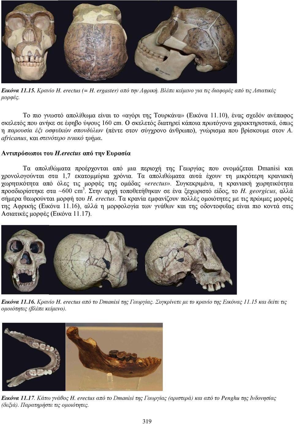 Ο σκελετός διατηρεί κάποια πρωτόγονα χαρακτηριστικά, όπως η παρουσία έξι οσφυϊκών σπονδύλων (πέντε στον σύγχρονο άνθρωπο), γνώρισμα που βρίσκουμε στον A. africanus, και στενότερο ινιακό τρήμα.