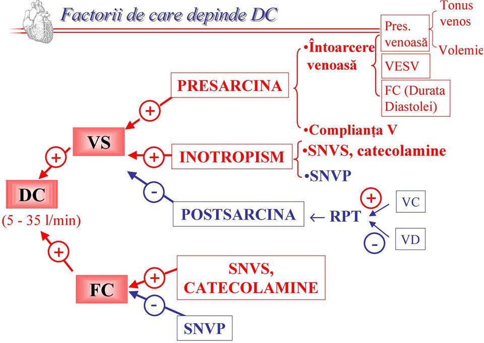 Întoarcere venoasă Complianţa V SNVS, catecolamine SNVP RPT +