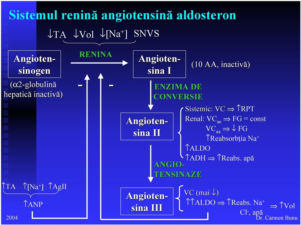 Na + ALDO ADH Reabs.