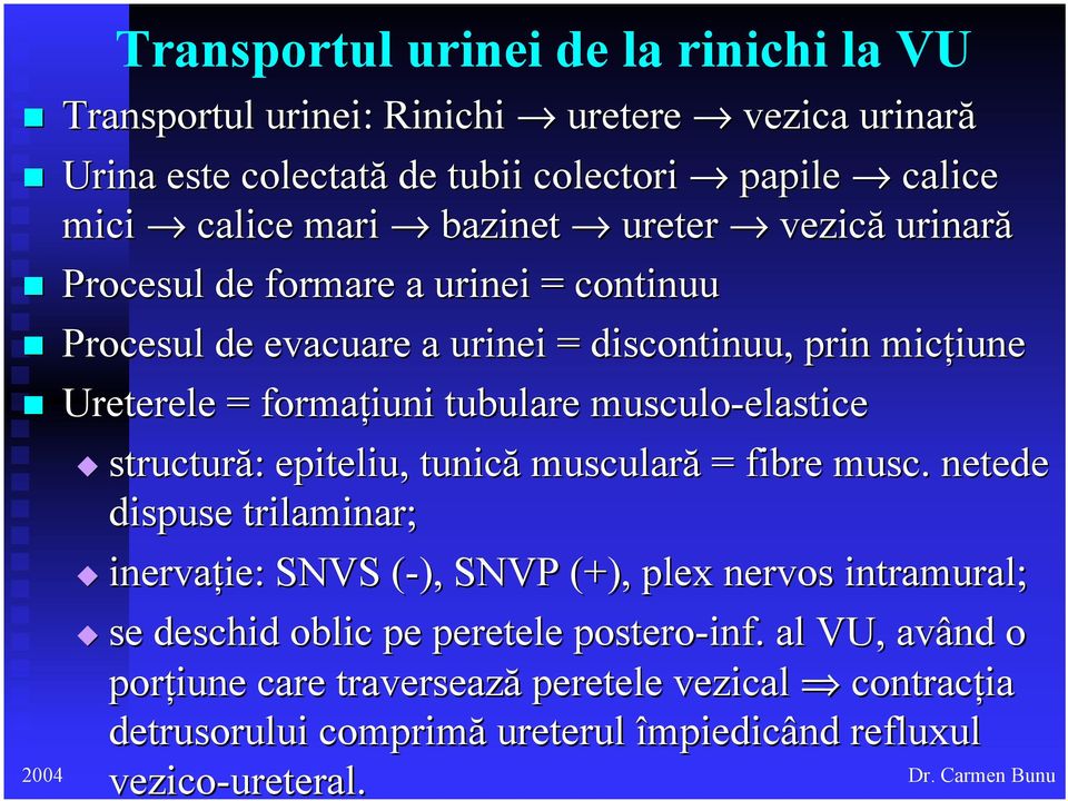 musculo-elastice structură: : epiteliu, tunică musculară = fibre musc.