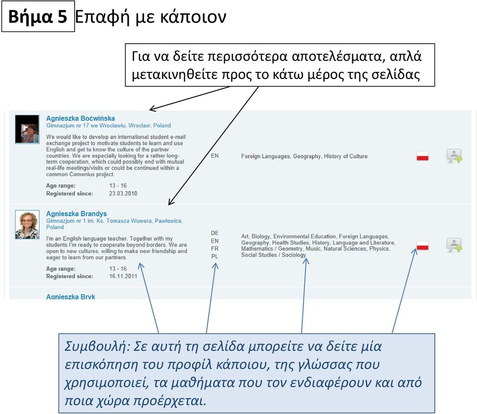 σελίδα μπορείτε να δείτε μία επισκόπηση του προφίλ κάποιου, της γλώσσας