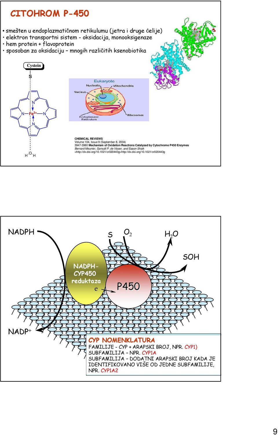 ytochrome P450 Enzymes Bernard Meunier, amuël P. de Visser, and ason haik <http://dx.doi.org/10.