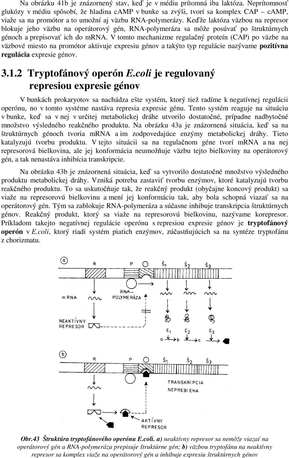 Keďže laktóza väzbou na represor blokuje jeho väzbu na operátorový gén, RNA-polymeráza sa môže posúvať po štruktúrnych génoch a prepisovať ich do mrna.