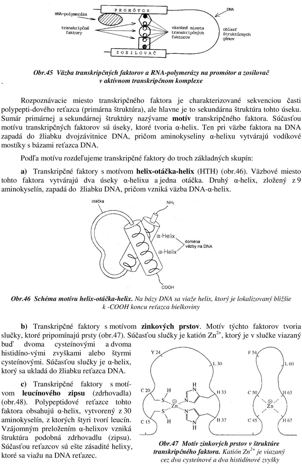polypepti-dového reťazca (primárna štruktúra), ale hlavne je to sekundárna štruktúra tohto úseku. Sumár primárnej a sekundárnej štruktúry nazývame motív transkripčného faktora.