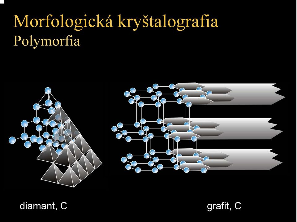 Polymorfia