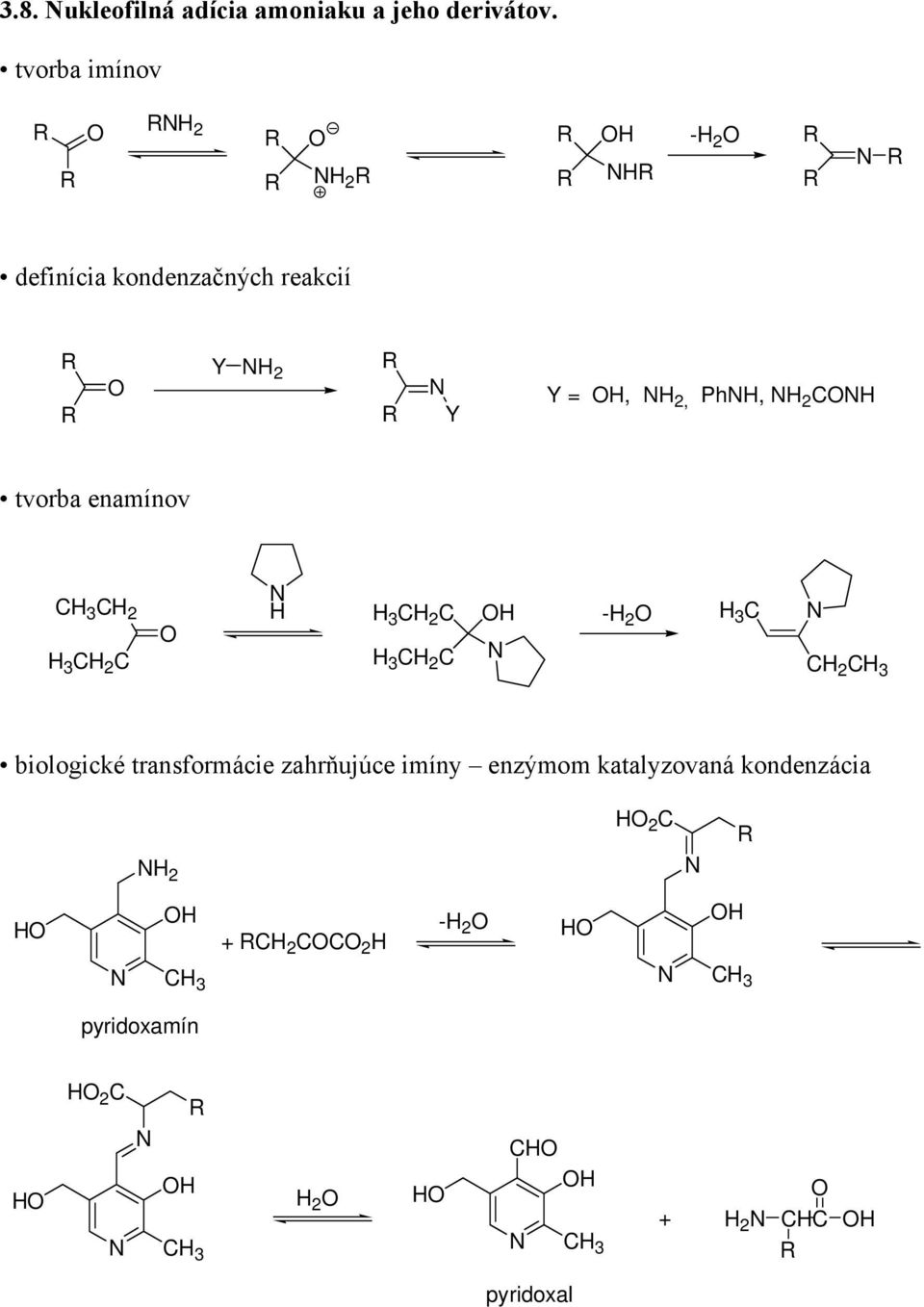 enamínov C 3 C 2 3 C 2 C 3 C 2 C 3 C 2 C - 2 3 C C 2 C 3 biologické transformácie