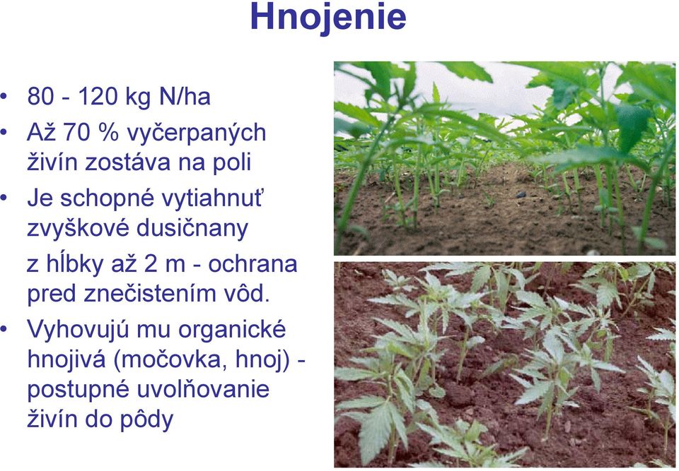 2 m - ochrana pred znečistením vôd.