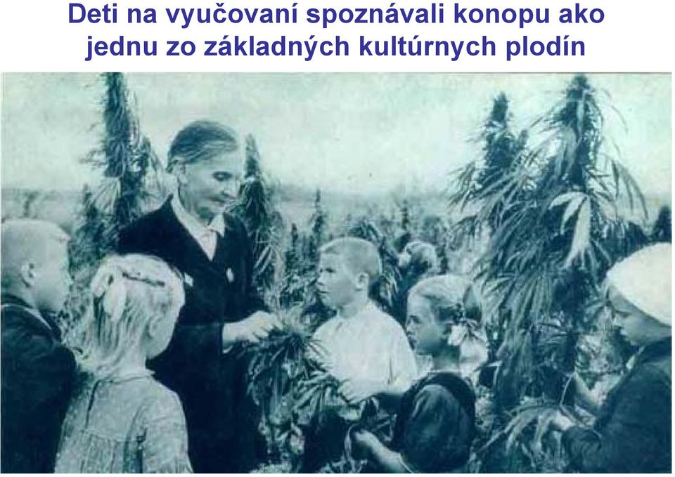 ako jednu zo