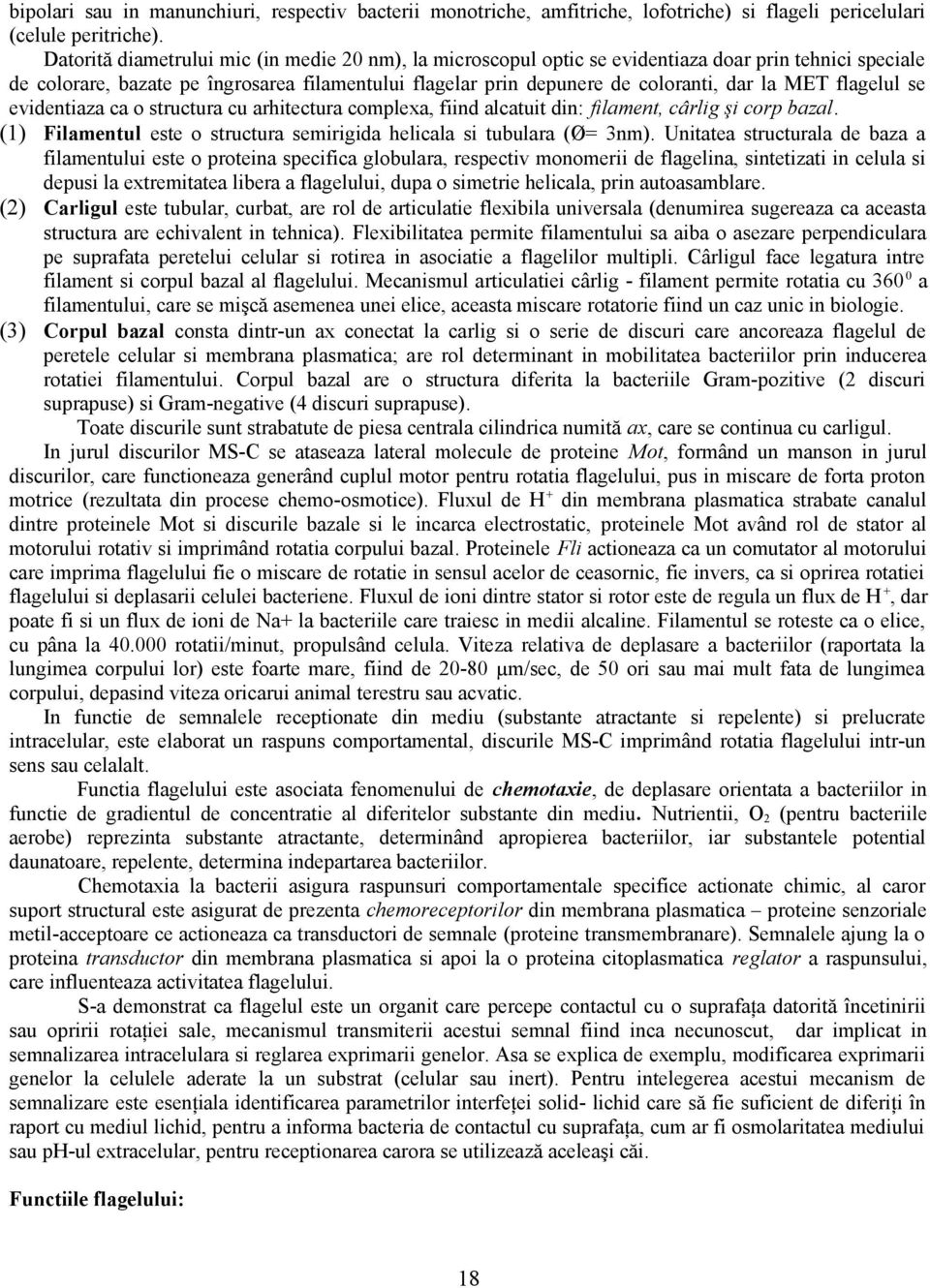 MET flagelul se evidentiaza ca o structura cu arhitectura complexa, fiind alcatuit din: filament, cârlig şi corp bazal. (1) Filamentul este o structura semirigida helicala si tubulara (Ø= 3nm).