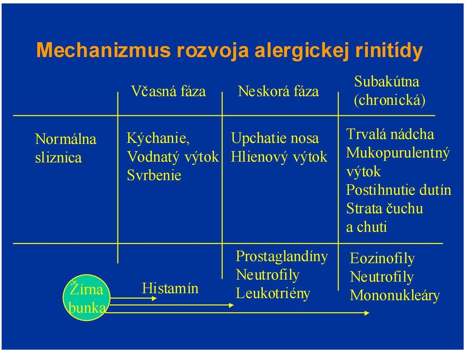 Hlienový výtok Trvalá nádcha Mukopurulentný výtok Postihnutie dutín Strata čuchu a