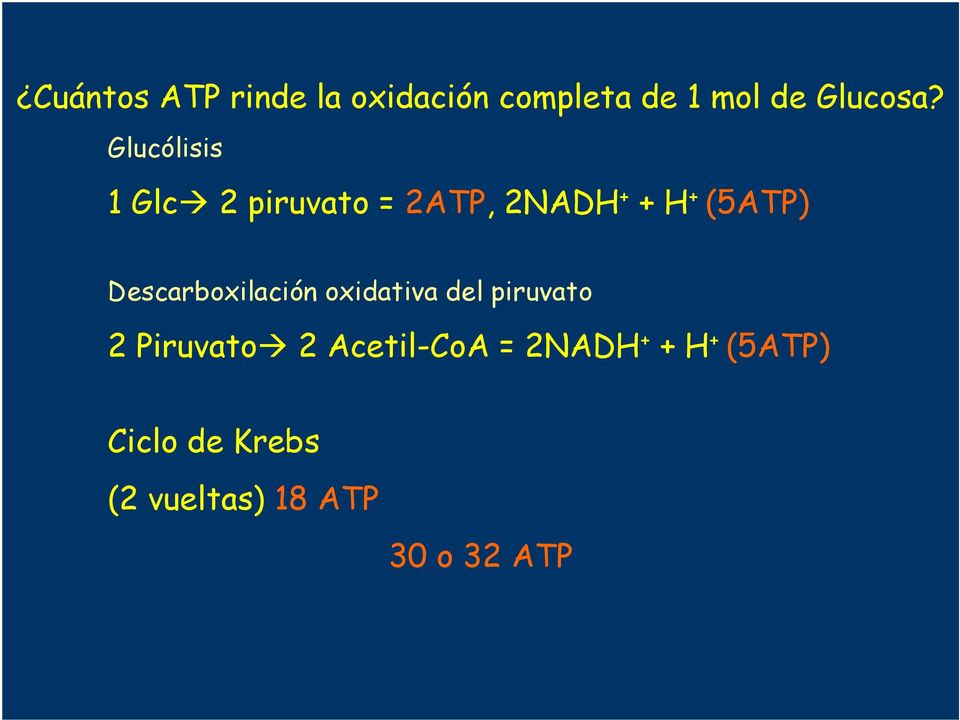 Descarboxilación oxidativa l piruvato Piruvato