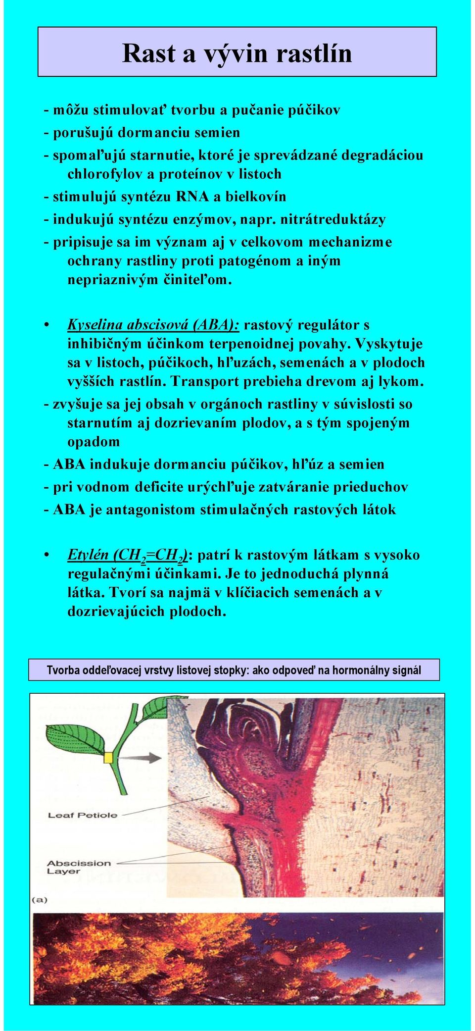 Kyselina abscisová (ABA): rastový regulátor s inhibičným účinkom terpenoidnej povahy. Vyskytuje sa v listoch, púčikoch, hľuzách, semenách a v plodoch vyšších rastlín.